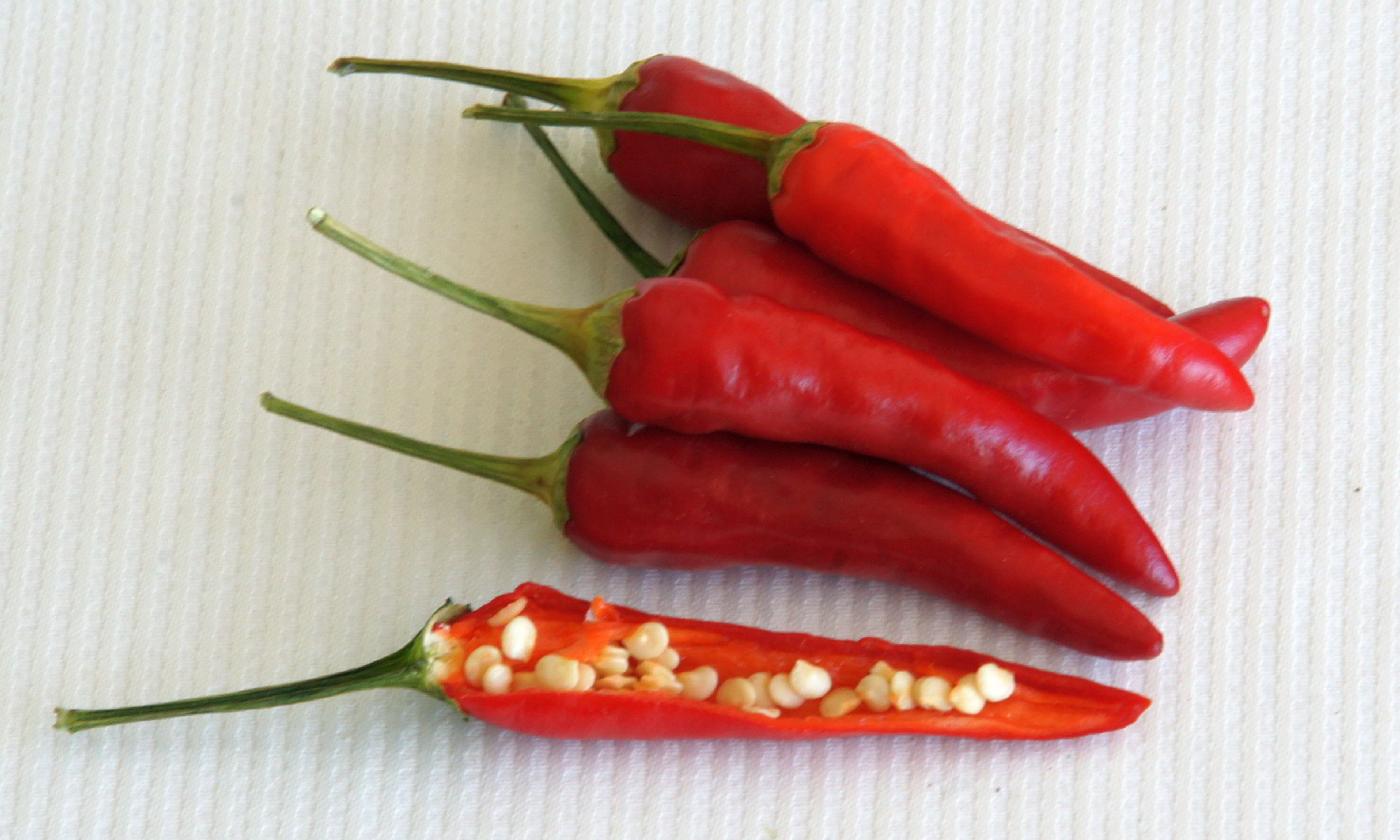 Chili Paprika, rot, roh