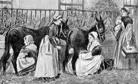 Scan of engraving: Asses suckling children in a French institution 1895.