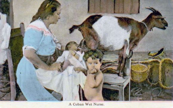 Nurse in Cuba in 1903 with a child sucking milk at the goat's teat.