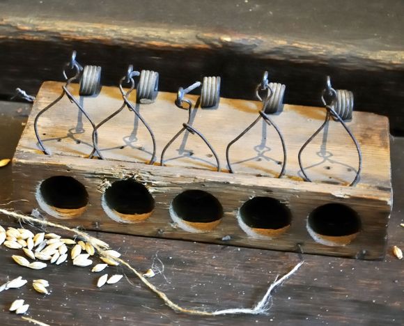 Мышеловка для 5 мышей. Работает, даже если вокруг есть достаточно корма. Мыши ловятся на сало! Мышеловка для 5 мышей. Работает, даже если вокруг есть достаточно корма. Мыши ловятся на сало!