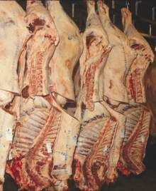 Carne pronta per l'ispezione da parte del Dipartimento dell'Agricoltura degli Stati Uniti (USDA)
