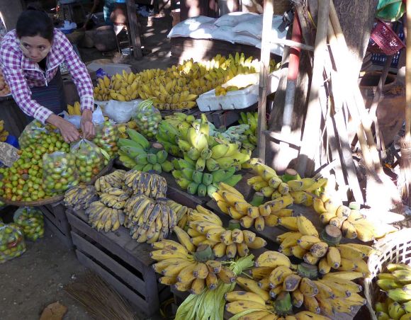 Markt: In vielen Ländern ist die Banane und sind Früchte wichtigste Lebensmittel. Myanmar 2015. Markt: In vielen Ländern ist die Banane und sind Früchte wichtigste Lebensmittel. Myanmar 2015.