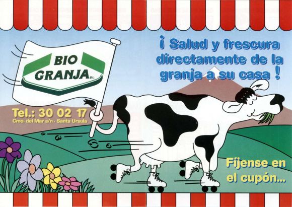 Auch unsere Kühe beherrschten schon in den 1980er Jahren einige Kunststücke ... Auch unsere Kühe beherrschten schon in den 1980er Jahren einige Kunststücke ...