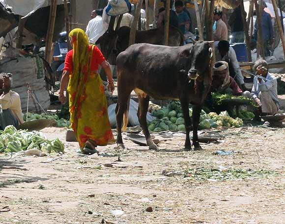 Comercio de verduras en la calle en la ciudad de Agra, India (2010).