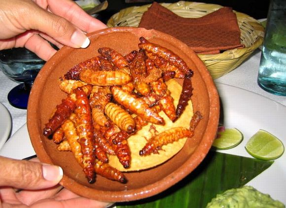 Гусанос, деликатес в Мехико, из ресторана Villa Maria, Polanco