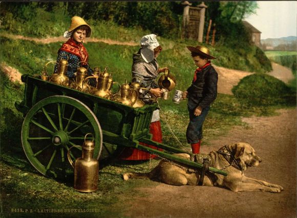 Foto di venditori di latte a Bruxelles, Belgio nel 1890. Photochrom 165 x 225 mm - vedi anche swissb Foto di venditori di latte a Bruxelles, Belgio nel 1890. Photochrom 165 x 225 mm - vedi anche swissb