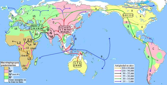 Map with migration of mt-haplogroups from Africa to Eurasia (from 2015). Map with migration of mt-haplogroups from Africa to Eurasia (from 2015).