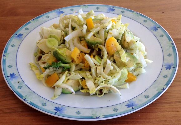 Veganer Frischgemüsesalat auf einem Teller: Avocado, Lauch, Fenchel, Zichorie, gelbe Paprika etc. Veganer Frischgemüsesalat auf einem Teller: Avocado, Lauch, Fenchel, Zichorie, gelbe Paprika etc.