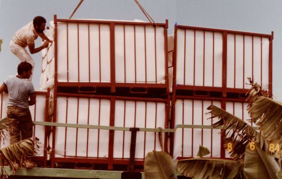 Die Käfige kommen mit mobilem Kran auf den Lastwagen statt Arm auf Arm - mit verletzten Bananen. Die Käfige kommen mit mobilem Kran auf den Lastwagen statt Arm auf Arm - mit verletzten Bananen.