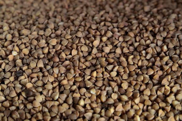Healthy vegan diet: buckwheat seeds for persons with gluten intolerance, e.g. Celiac disease. Healthy vegan diet: buckwheat seeds for persons with gluten intolerance, e.g. Celiac disease.