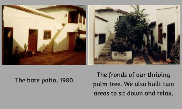 Patio of the Finca Rosario in Tenerife in the 1980s. Without and with the palm tree. Patio of the Finca Rosario in Tenerife in the 1980s. Without and with the palm tree.