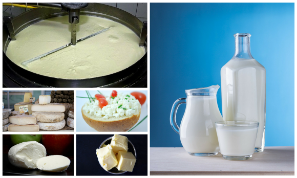 Collage di sei diversi prodotti lattiero-caseari come formaggio e latte. Collage di sei diversi prodotti lattiero-caseari come formaggio e latte.