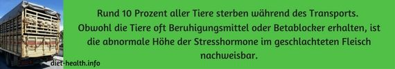 10 % der Tiere sterben beim Transport, trotz Betablcoker. Stresshormone im Fleisch sind nachweisbar.