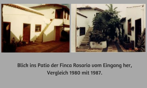 Innenhof Finca Rosario, Santa Ursula, Vergleich 1980 und 1987 mit der Palme gepflanzt. Innenhof Finca Rosario, Santa Ursula, Vergleich 1980 und 1987 mit der Palme gepflanzt.
