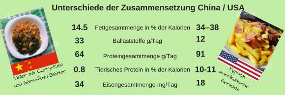 Teller mit Curry-Reis und Gänsefuss-Blätter als Vergleich zum Westen. Teller mit Curry-Reis und Gänsefuss-Blätter als Vergleich zum Westen.