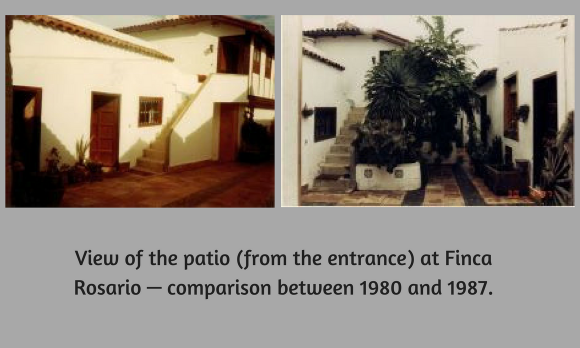 Courtyard Finca Rosario, Santa Ursula, comparing 1980 and 1987 planted with the palm. Courtyard Finca Rosario, Santa Ursula, comparing 1980 and 1987 planted with the palm.