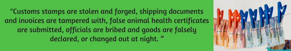 Collage of hanging banknotes with text about fakes of documents because of bribe and corruption. Collage of hanging banknotes with text about fakes of documents because of bribe and corruption.