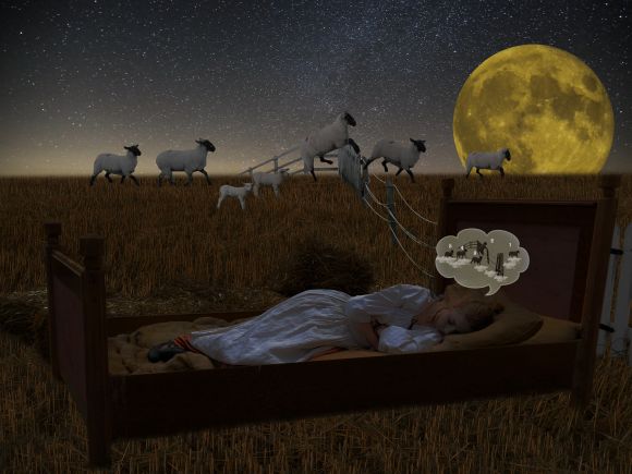 Imagen con la cama en el campo de maíz con el niño que cuenta ovejas. Justo el ajuste luna llena. Imagen con la cama en el campo de maíz con el niño que cuenta ovejas. Justo el ajuste luna llena.