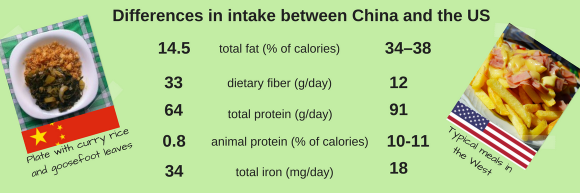 Plate of curry rice and goose-foot leaves, compared to the western diet. Plate of curry rice and goose-foot leaves, compared to the western diet.