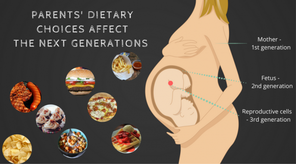 The influence of parental nutrition on children