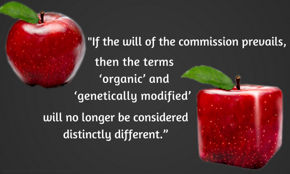 Collage of two red apples with text: Political commissions want to join organic food with GMO. Collage of two red apples with text: Political commissions want to join organic food with GMO.