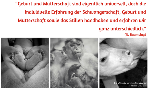 Collage von drei Fotos über das Stillen mit Text darüber. Collage von drei Fotos über das Stillen mit Text darüber.