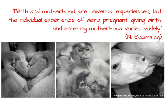 Collage of three photos about breastfeeding with text over it.