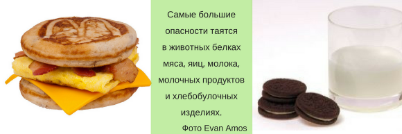 Самые большие опасности - в животных белках (мясо, яйца, молочные продукты, макаронные изделия) Самые большие опасности - в животных белках (мясо, яйца, молочные продукты, макаронные изделия)