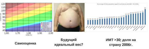 Самооценка, будущий идеальный вес, ИМТ> 30 - доля в разных странах, 2006 Самооценка, будущий идеальный вес, ИМТ> 30 - доля в разных странах, 2006