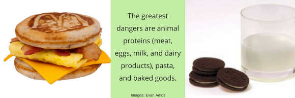 The greatest dangers are animal proteins (meat, eggs, dairy baked goods) The greatest dangers are animal proteins (meat, eggs, dairy baked goods)