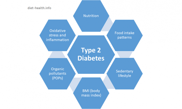 Factors with a direct impact on type 2 diabetes according to Hofe CR, 2014. Factors with a direct impact on type 2 diabetes according to Hofe CR, 2014.