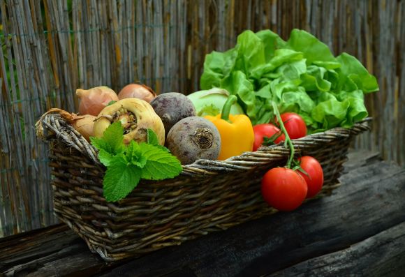Geflochtener Weidekorb mit frisch gepflückten Gemüsen und Salat.