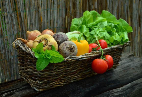 Cesto in vimini con verdure appena raccolte e insalata.