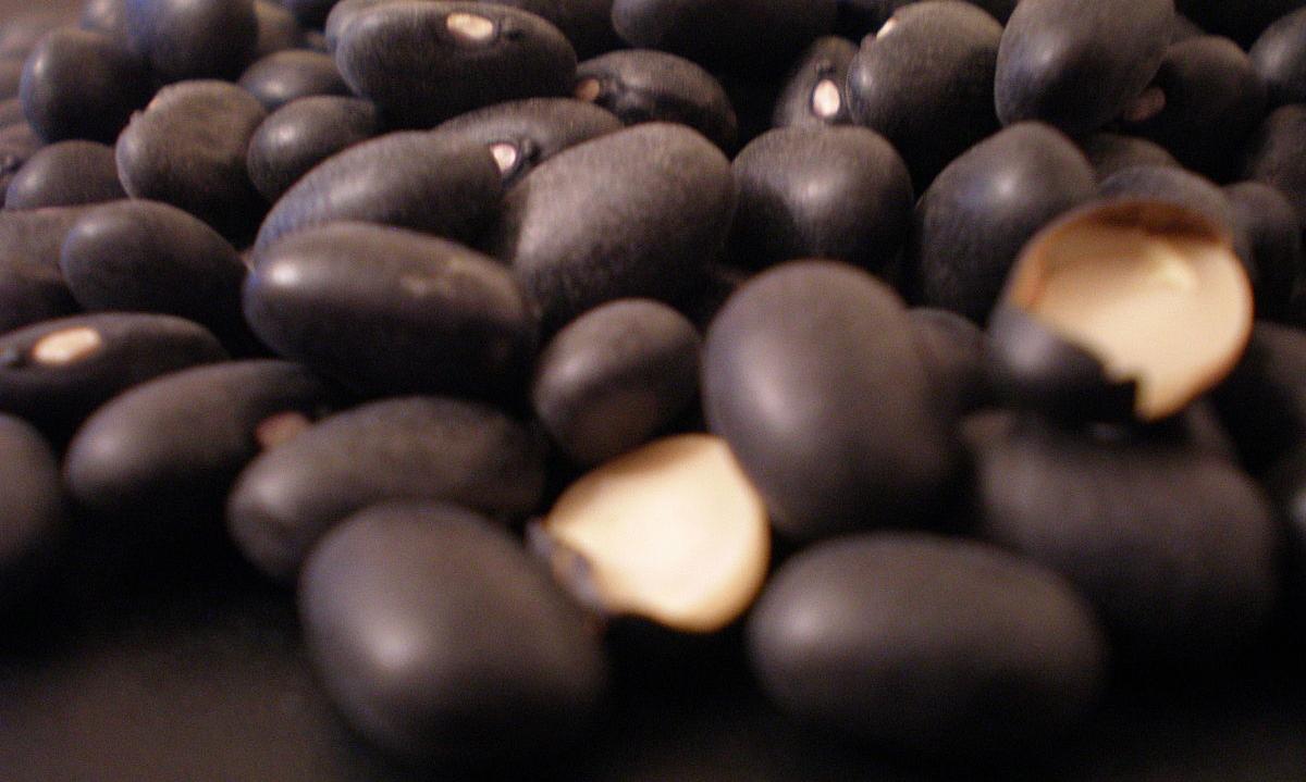 Closeup of ripe raw black bean seed (Phaseolus vulgaris).