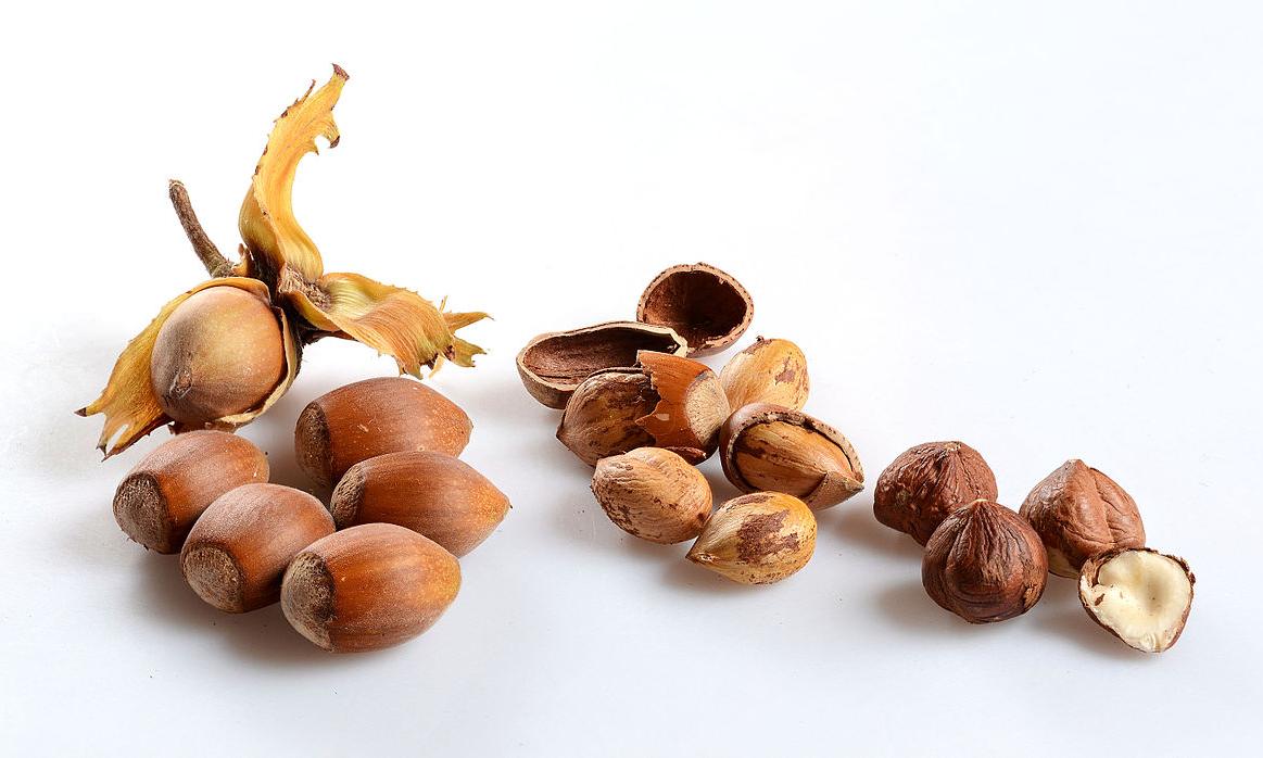 Diverse fasi di lavorazione delle nocciole: fresche, parzialmente sbucciate, sbucciate. Diverse fasi di lavorazione delle nocciole: fresche, parzialmente sbucciate, sbucciate.