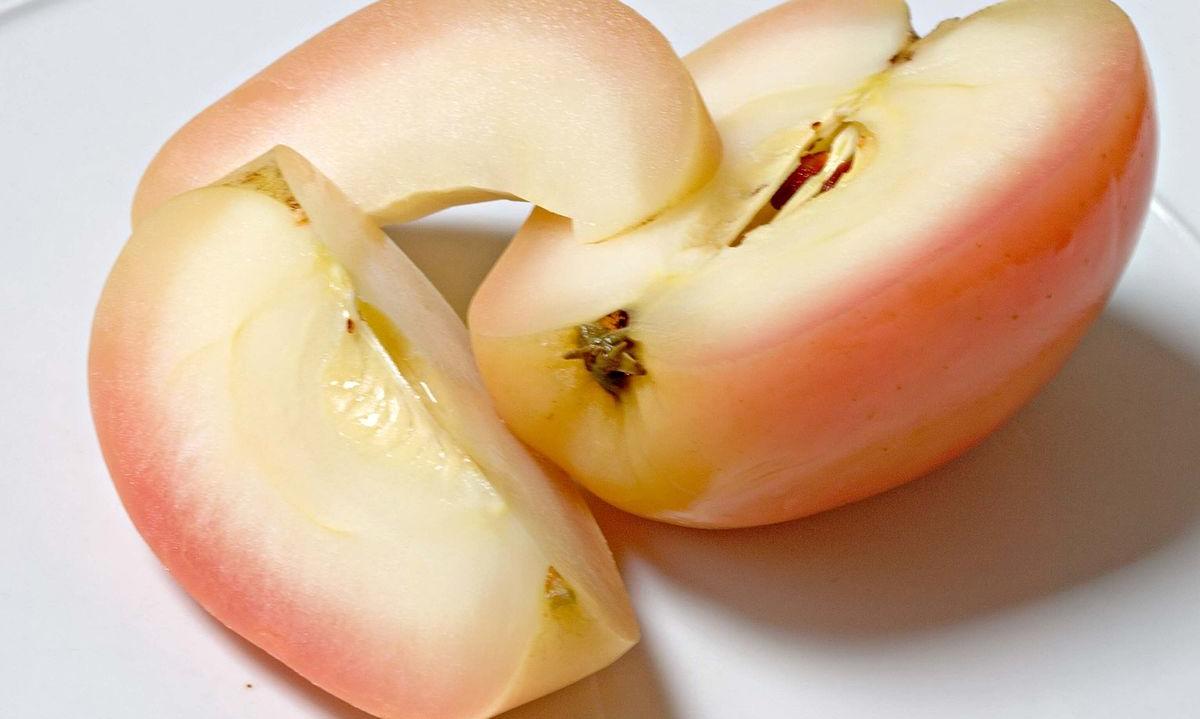 Aufgeschnittener Apfel der Sorte Gala, mit Schale und gegart - Malus domestica. Aufgeschnittener Apfel der Sorte Gala, mit Schale und gegart - Malus domestica.