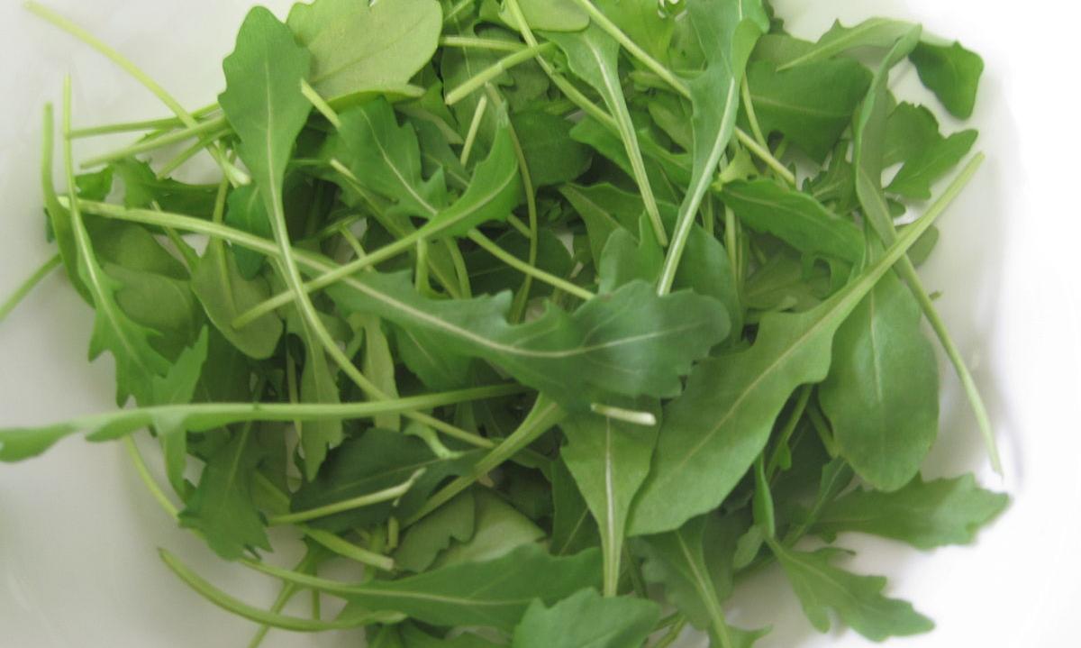 Rucola, roh