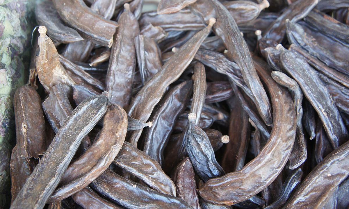 Legumi di carruba (carruba, carbucho) ammucchiati liberamente. Legumi di carruba (carruba, carbucho) ammucchiati liberamente.