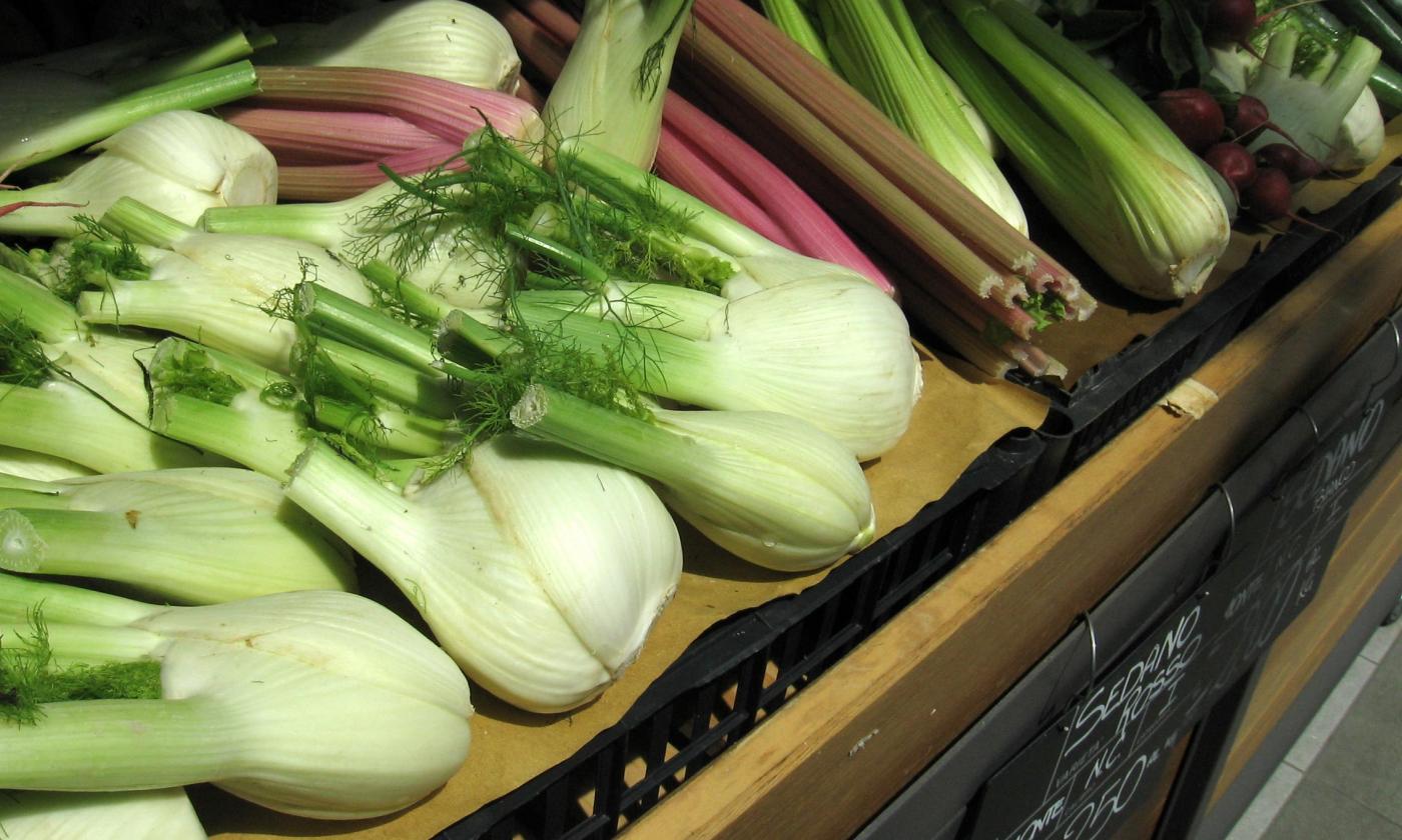 Fenchel: Knollen, fertig gerüstet auf Verkaufsfläche Gemüsehändler. Fenchel: Knollen, fertig gerüstet auf Verkaufsfläche Gemüsehändler.