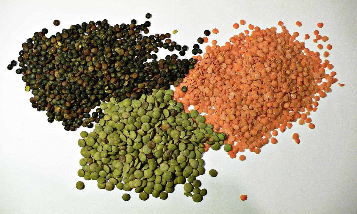 Lenticchie grezze: tre batterie, ciascuna con un colore di lenticchie su uno sfondo chiaro. Lenticchie grezze: tre batterie, ciascuna con un colore di lenticchie su uno sfondo chiaro.