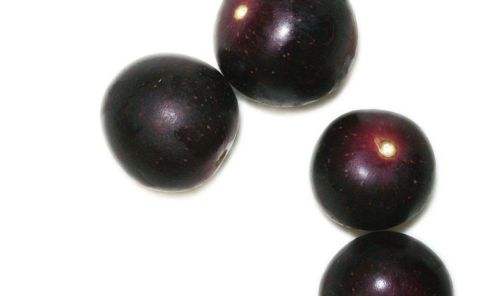 Primo piano di uve muscadine della Carolina del Nord su sfondo bianco. Primo piano di uve muscadine della Carolina del Nord su sfondo bianco.