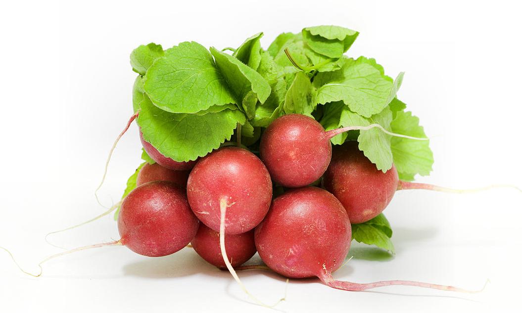 Редис, свежий как куча, бесплатно. (Raphanus sativus subsp. Sativus, Raphanus sativus). Редис, свежий как куча, бесплатно. (Raphanus sativus subsp. Sativus, Raphanus sativus).