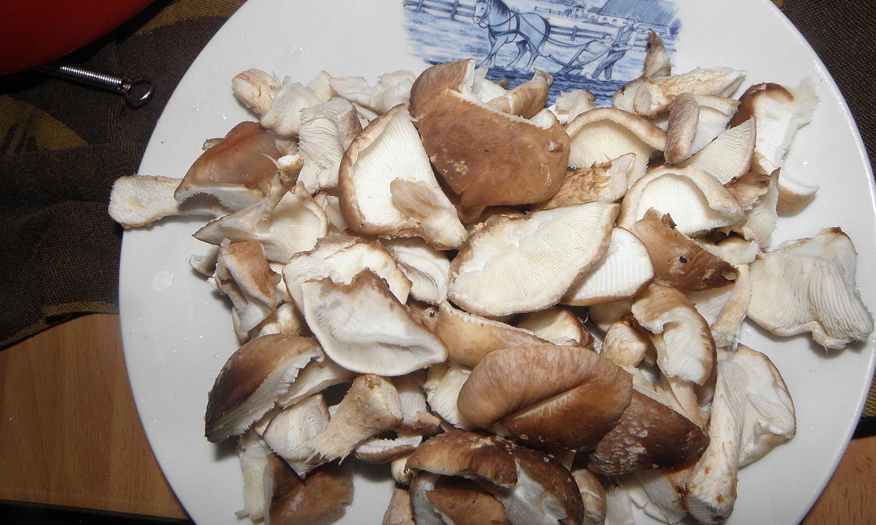 Funghi shiitake, crudi, leggermente tritati su un piatto di porcellana bianca. Funghi shiitake, crudi, leggermente tritati su un piatto di porcellana bianca.