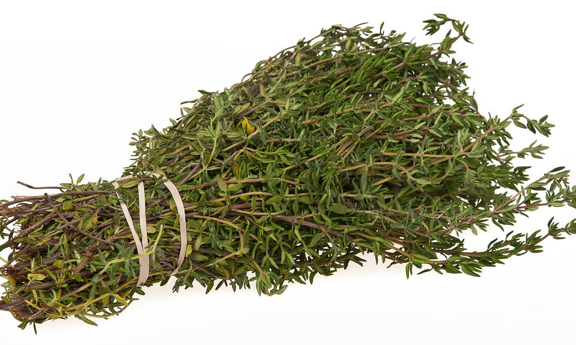 Fresh thyme (Thymus vulgaris) as a bundle on a light background. Fresh thyme (Thymus vulgaris) as a bundle on a light background.