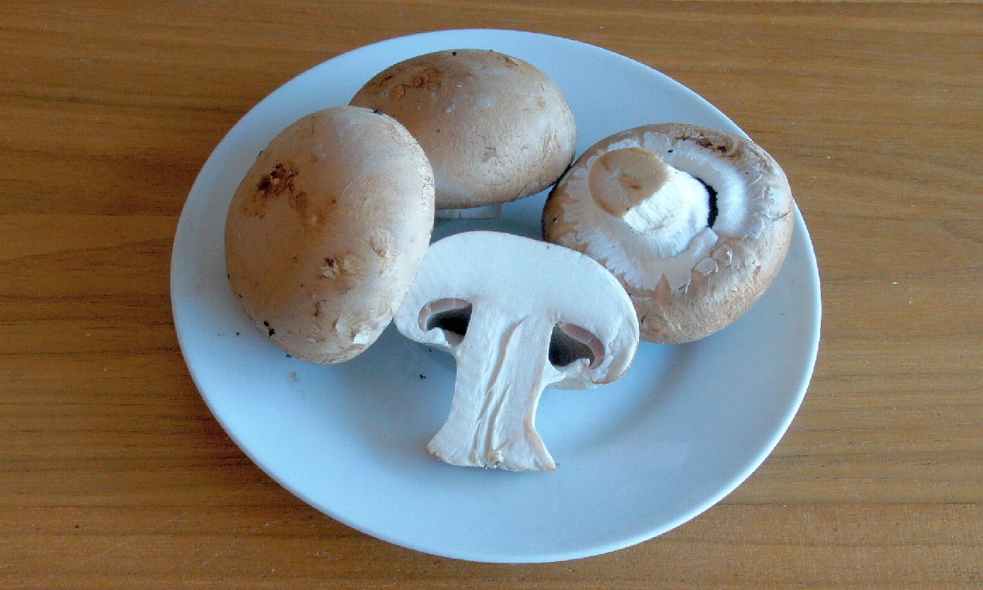 Button mushroom, raw
