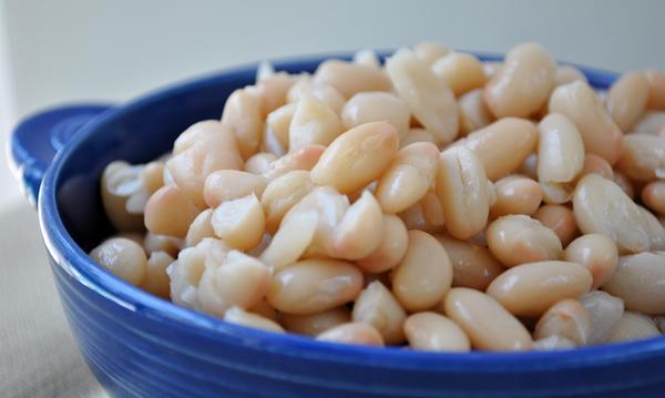 Blue bowl with freshly cooked white beans (Phaseolus vulgaris). Blue bowl with freshly cooked white beans (Phaseolus vulgaris).