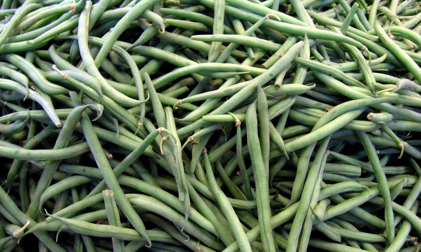 Grüne Bohnen (Phaseolus vulgaris) auf einem Haufen. Grüne Bohnen (Phaseolus vulgaris) auf einem Haufen.