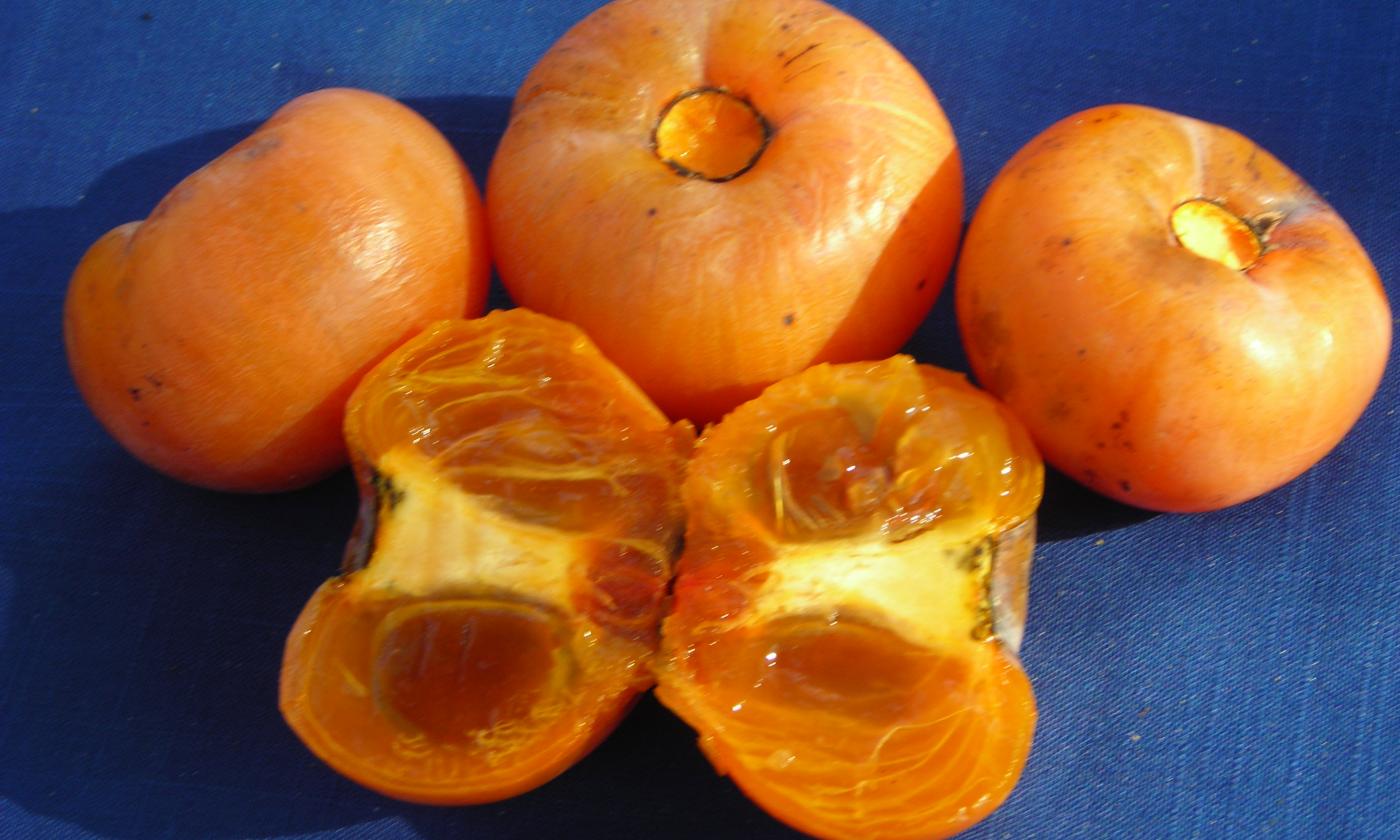 фрукты, сырые, необработанные: Persimmons, native, raw - Diospyros virginiana фрукты, сырые, необработанные: Persimmons, native, raw - Diospyros virginiana