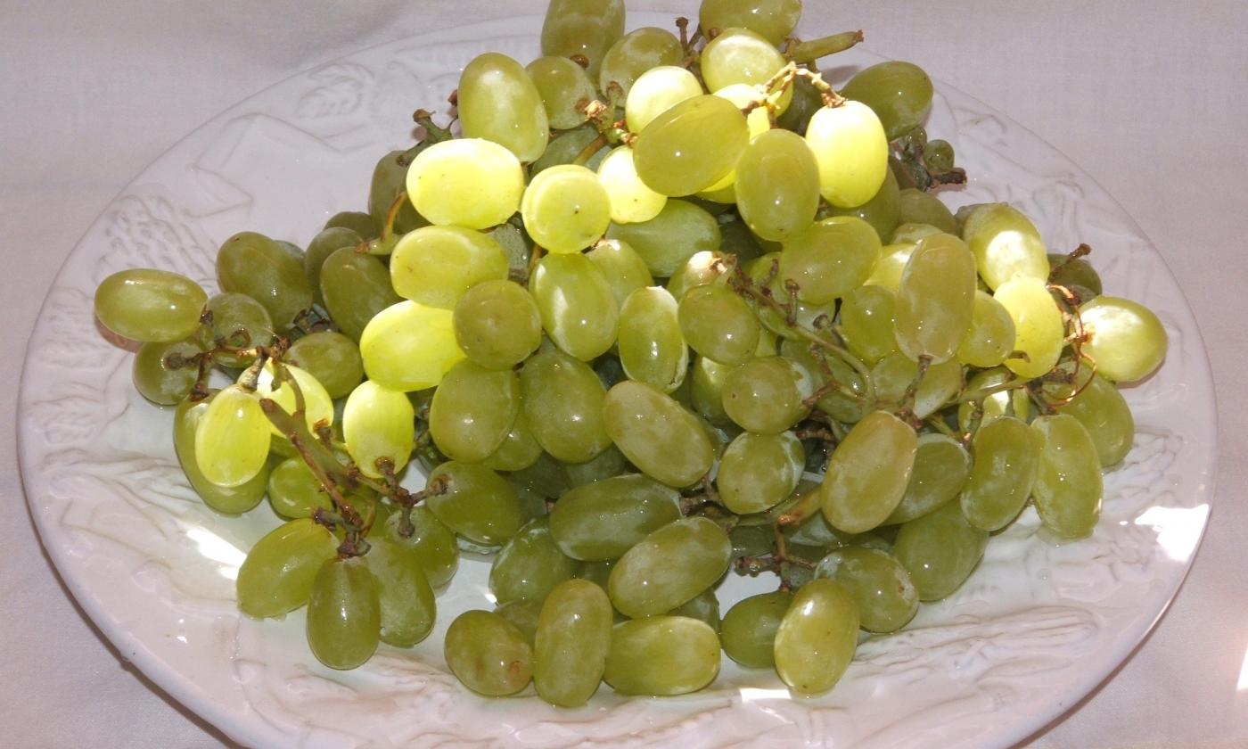 Uvas (especies europeas, como Thompson sin semillas), Vitis vinifera apiladas en un plato. Uvas (especies europeas, como Thompson sin semillas), Vitis vinifera apiladas en un plato.