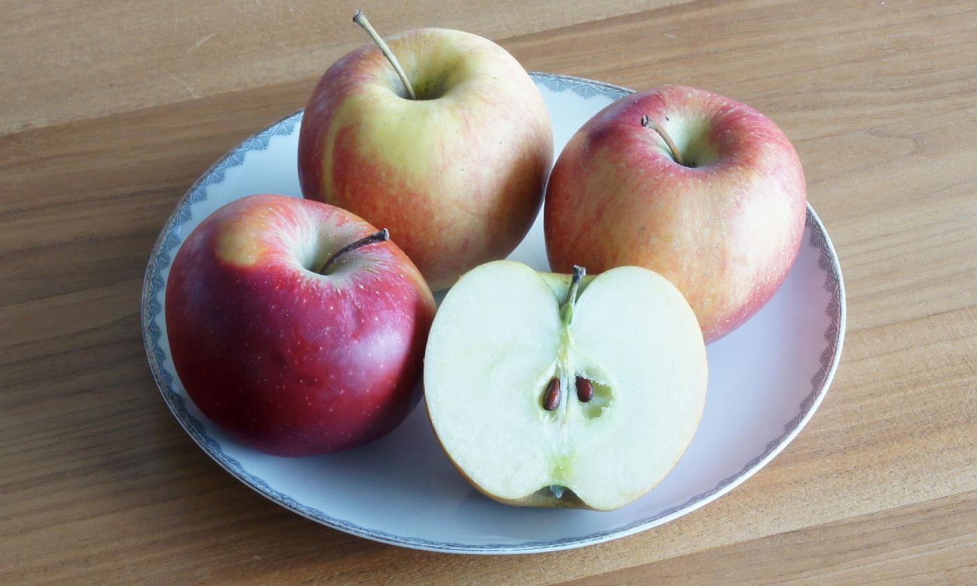 Apples on a plate. Many of the vitamins that apples contain are located just beneath the peel. Apples on a plate. Many of the vitamins that apples contain are located just beneath the peel.